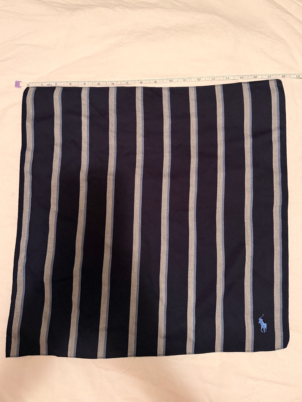 Polo by Ralph Lauren Navy with Light Blue Striped handkerchief